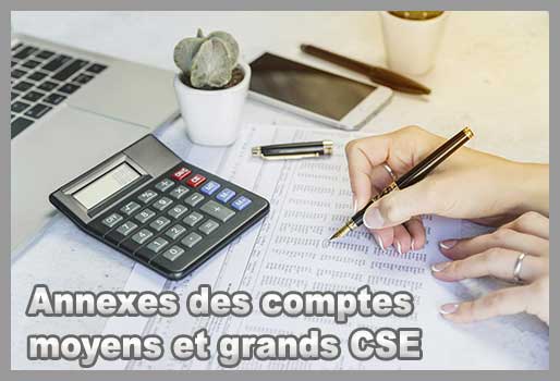 Annexes des comptes moyens et grands CE