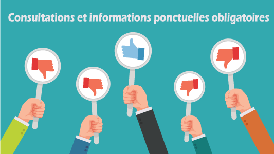 Consultations et informations ponctuelles obligatoires